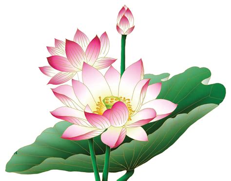 吉祥蓮花圖案|蓮花圖案素材 